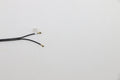 LCD Cover C 21A2 MG