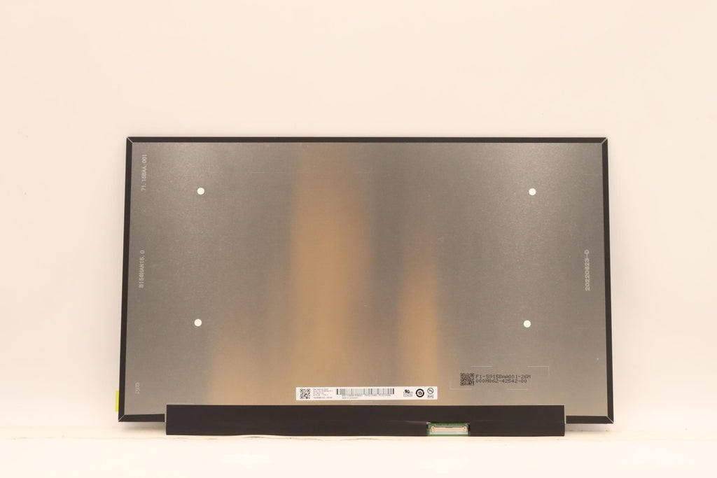 DISPLAY FRU AUO B156HAN15.0