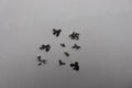 SCREW Screw kit C 83KF