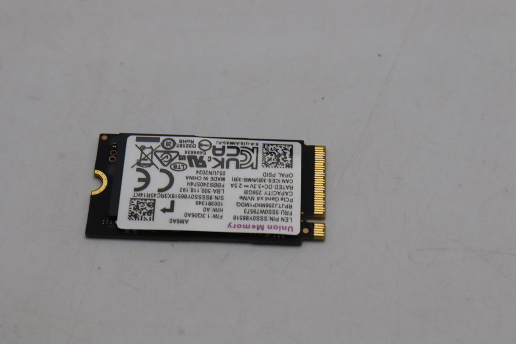 256GB M.2 2242 PCIe 4.0 SSD