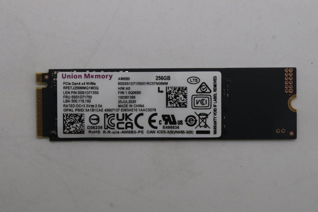 256GB M.2 PCIe NVMe SSD with