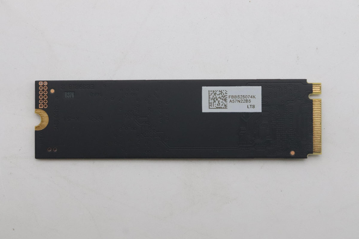 256GB M.2 PCIe NVMe SSD with