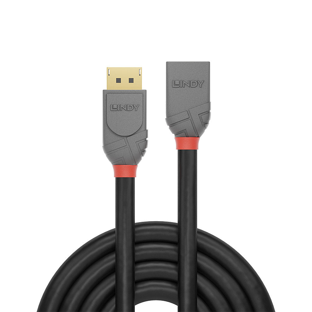 Lindy 36497 cable DisplayPort 2 m Negro (3)