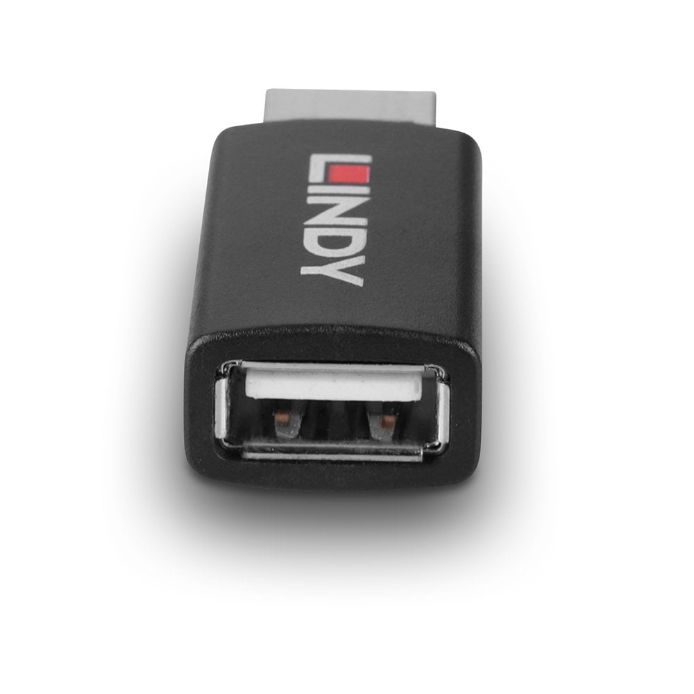 Lindy 71263 cambiador de género para cable USB Type A Negro (5)