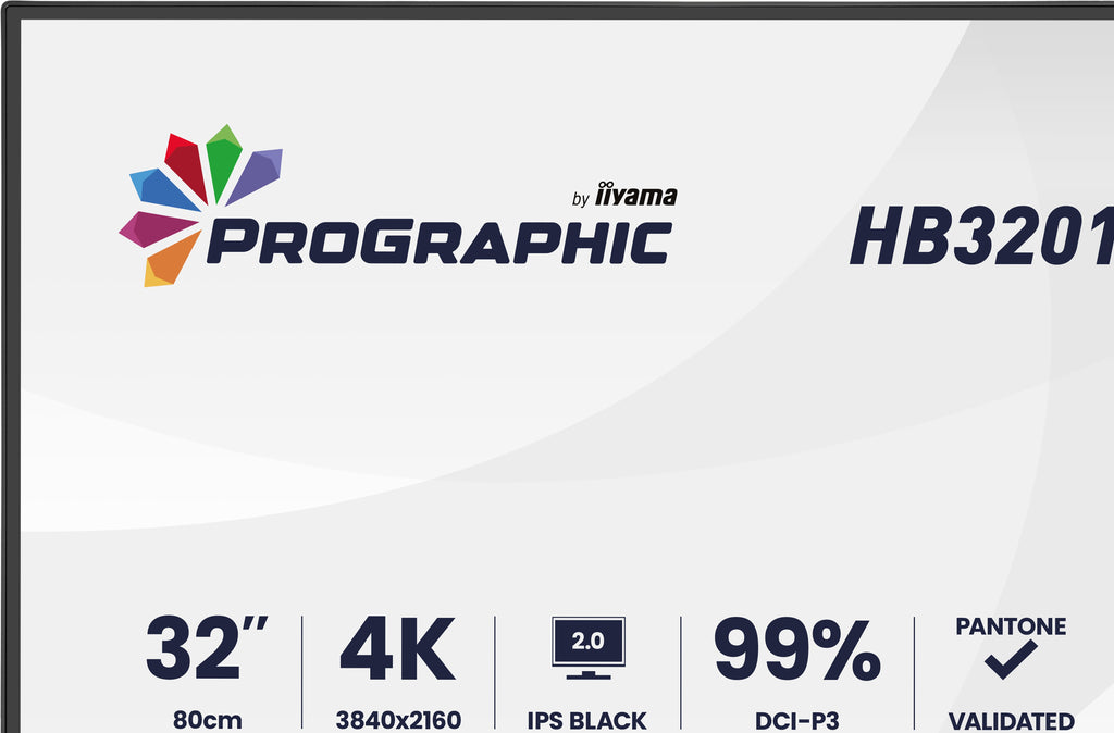 iiyama ProGraphic HB3201UHSNP-B1 pantalla para PC 80 cm (31.5") 3840 x 2160 Pixeles 4K Ultra HD Negro (6)