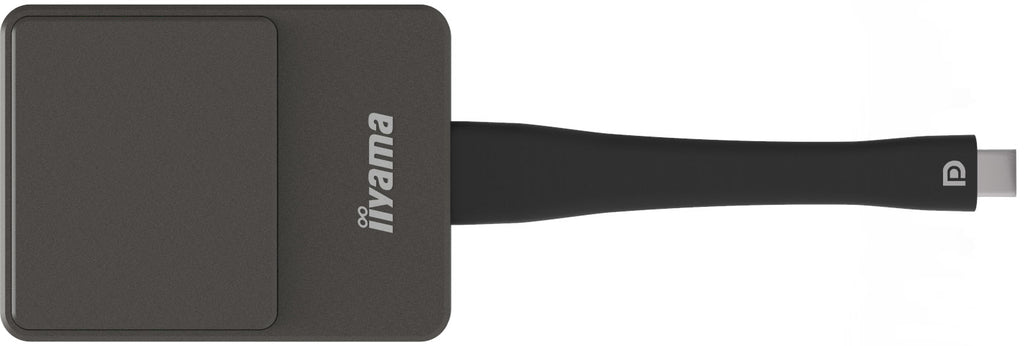 iiyama WP D002C adaptador Smart TV USB 4K Ultra HD Negro, Plata (3)