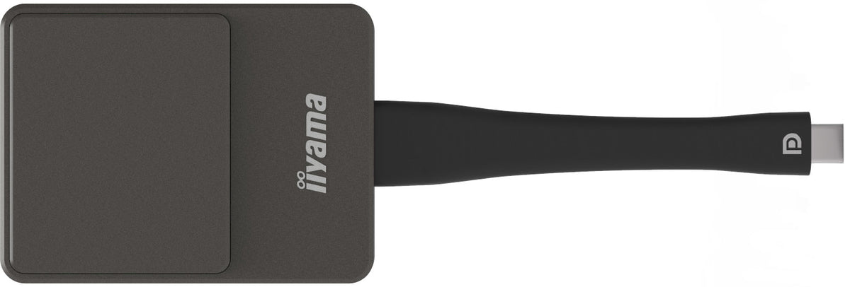 iiyama WP D002C adaptador Smart TV USB 4K Ultra HD Negro, Plata (3)