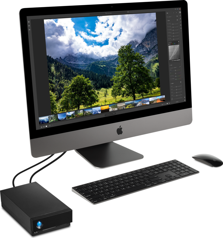 LaCie 1big Dock STHS8000800, Orden HDD, 8TB, 1 compartimentos (SATA-600) (10)