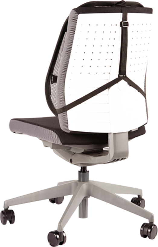 Fellowes Cojín lumbar Professional (3)