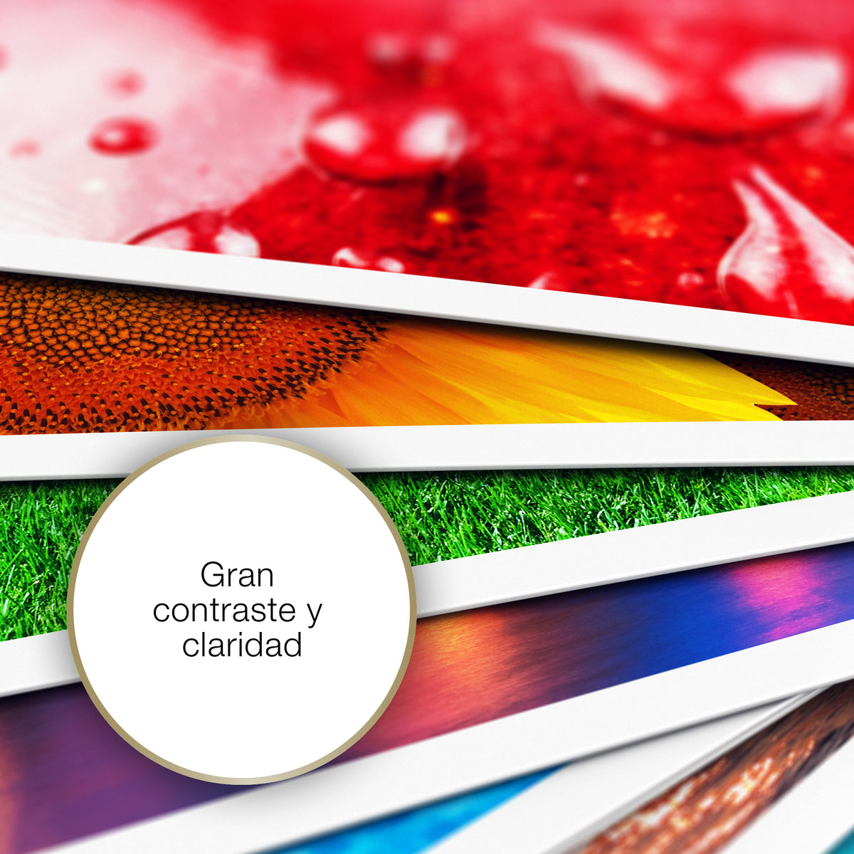 Epson Photo Paper Glossy Brillo (4)