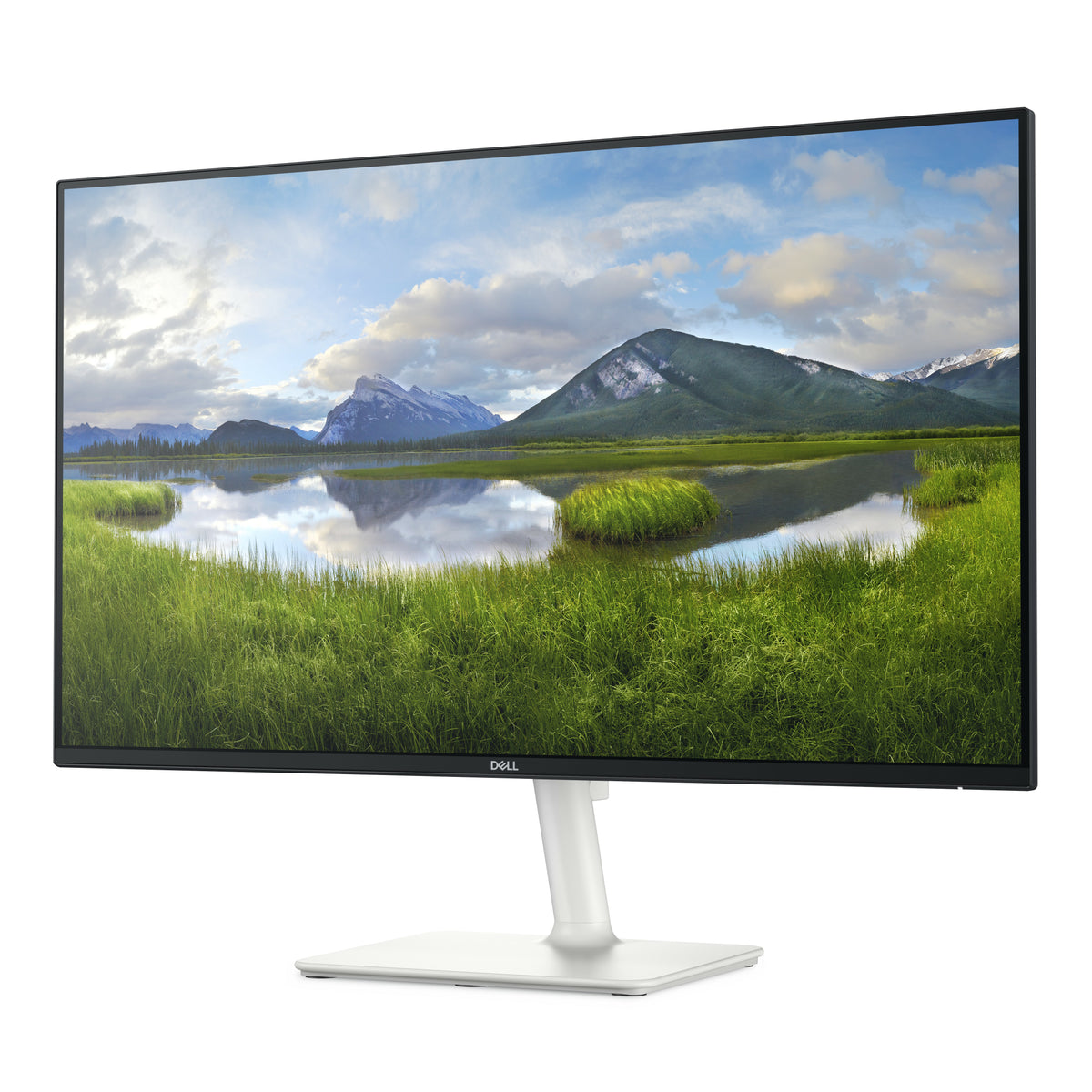 DELL S Series S2425H pantalla para PC 60,5 cm (23.8") 1920 x 1080 Pixeles Full HD LCD Negro, Plata (3)