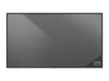 Nec 60005857 - 43" Clase diagonal P Series pantalla LCD con retroiluminación LED