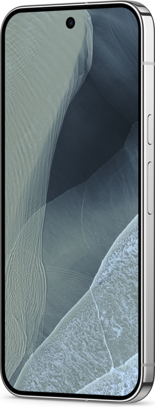 Google Pixel 11 Pro XL 5G 12/256 GB Niebla (4)