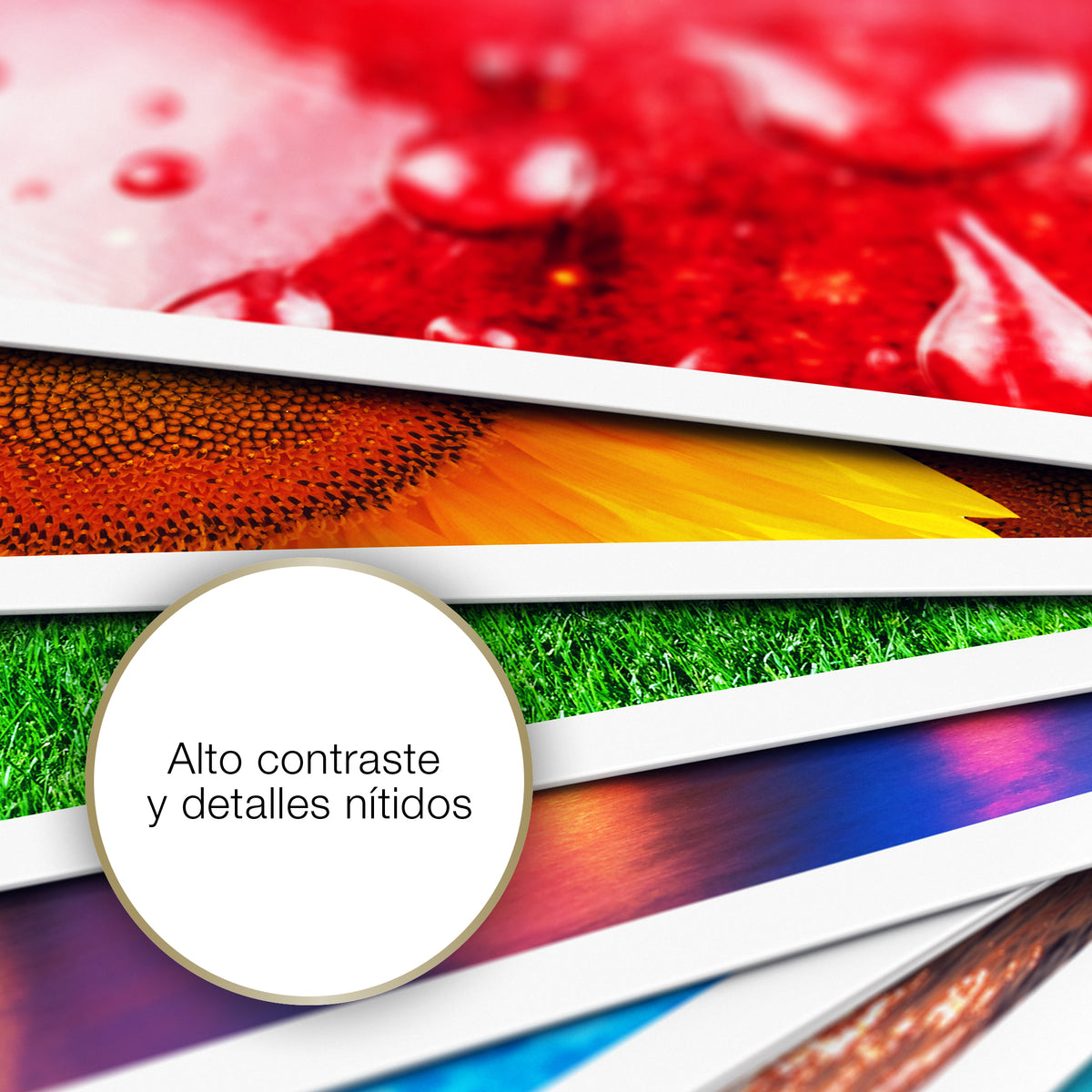 Epson Photo Quality , DIN A4, 102g/m² Blanco Mate (5)