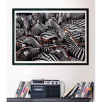 Clementoni Zebra Puzzle rompecabezas 1000 pieza(s) Animales (3)