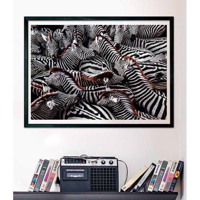 Clementoni Zebra Puzzle rompecabezas 1000 pieza(s) Animales (3)