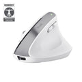 Trust Bayo+ ratón Oficina Mano derecha RF Wireless + Bluetooth Óptico 2400 DPI