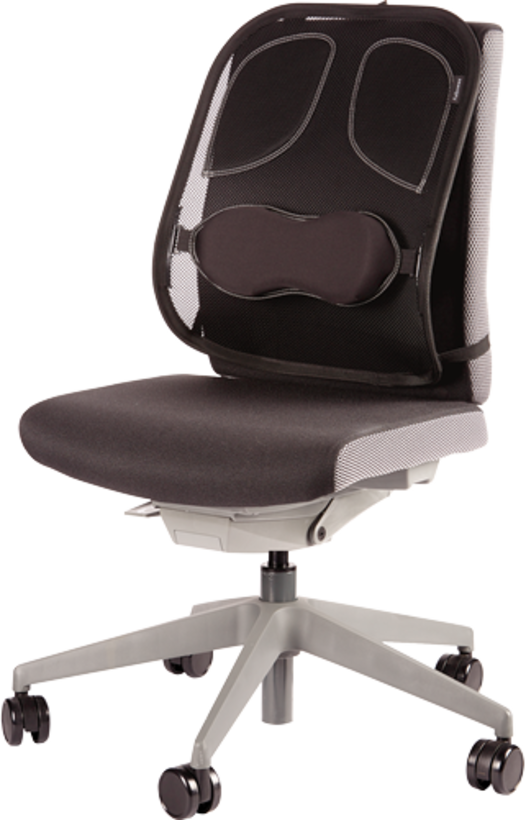 Fellowes Cojín lumbar Professional (4)