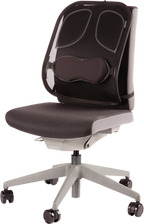Fellowes Cojín lumbar Professional (4)