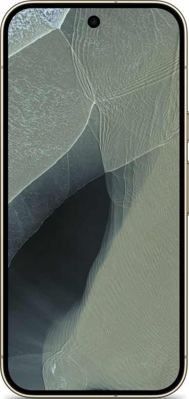 Google Pixel 11 Pro 5G 12/256 GB Oliva (4)