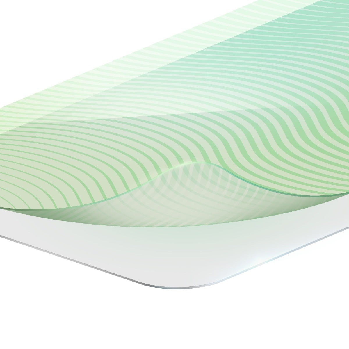 InvisibleShield Glass Elite Protector de pantalla Google 1 pieza(s) (5)