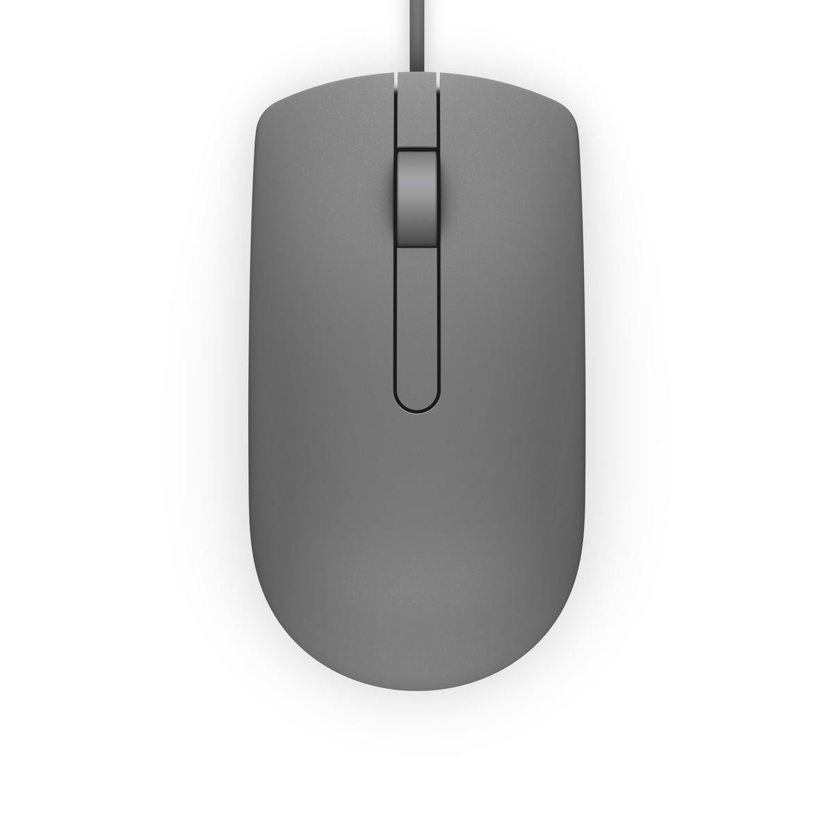 DELL MS116 ratón Ambidextro USB tipo A Óptico 1000 DPI (4)