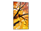 Sharp MultiSync PN-M982 Panel plano interactivo 2,48 m (97.5") LED 550 cd / m² 4K Ultra HD Negro 24/7 (5)
