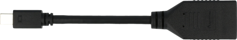 Adaptador Mini DisplayPort a DisplayPort (3)
