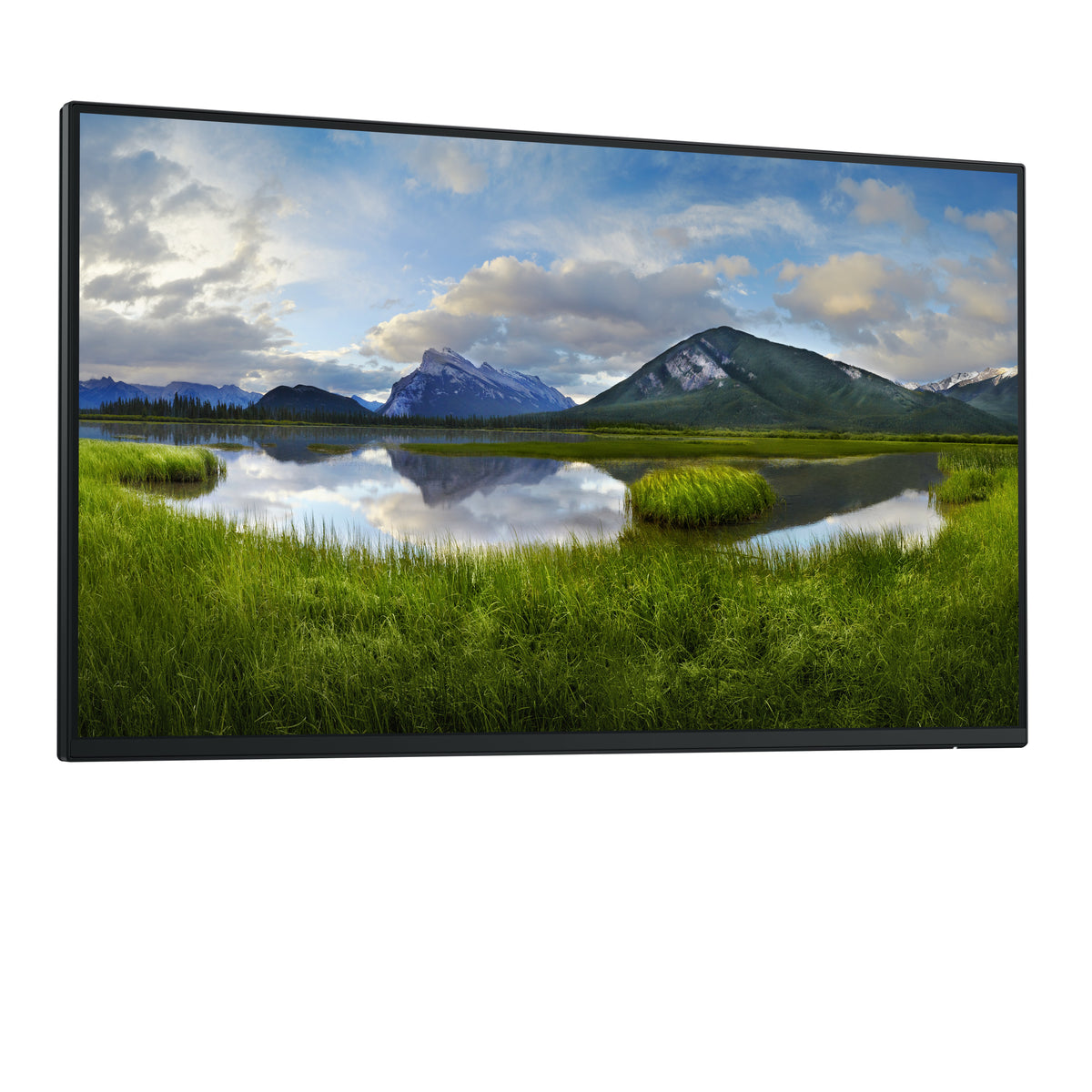 DELL Pro Plus P2425HE_WOST pantalla para PC 61 cm (24") 1920 x 1080 Pixeles Full HD LCD Negro (4)