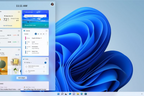 Microsoft Windows 11 Home All Languages 1 License (4)