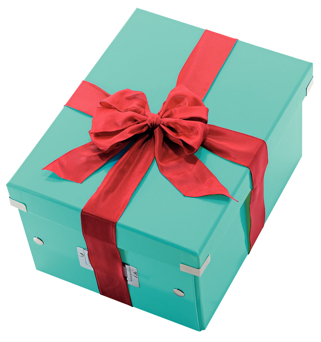 Leitz Click & Store Medium Box (60440051)