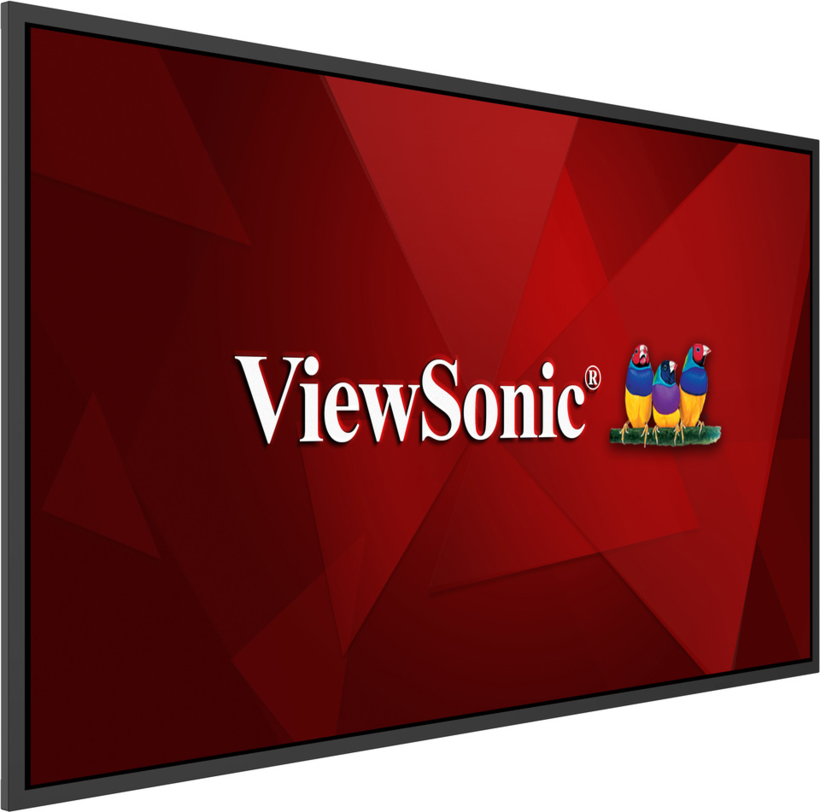 Pantalla ViewSonic CDE65G3-1C (2)