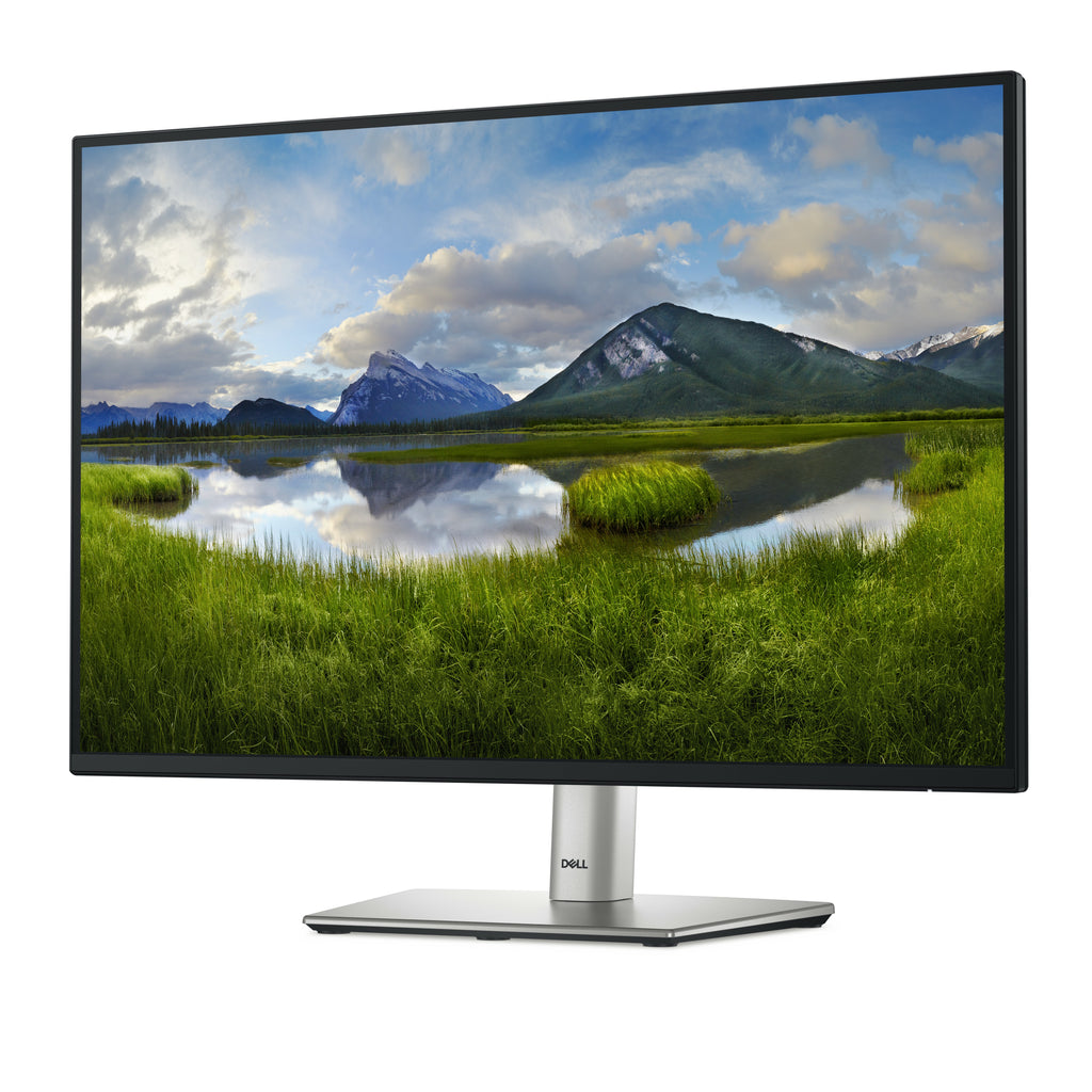 DELL Pro Plus P2425 pantalla para PC 61,1 cm (24.1") 1920 x 1200 Pixeles WUXGA LCD Negro (3)