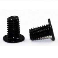 Acer SCREW.M2.5*6.I.BNI.NYLOK.IRON Tornillo (2)