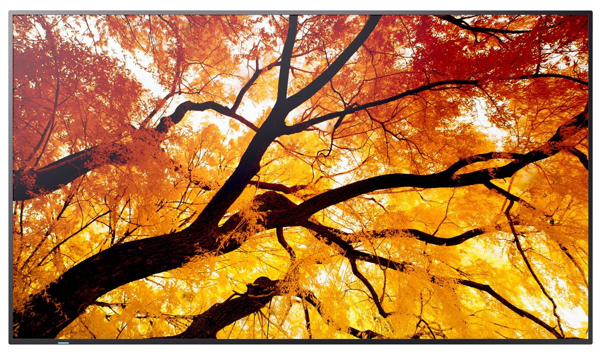 Sharp MultiSync M552 Pantalla plana para señalización digital 139,7 cm (55") LCD 550 cd / m² 4K Ultra HD Negro Pantalla táctil (3)