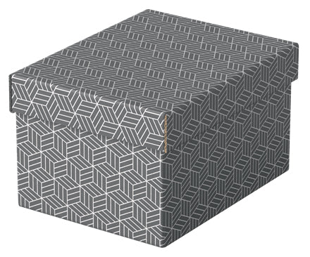 Esselte 628281 archivador organizador Caja de cartón Gris