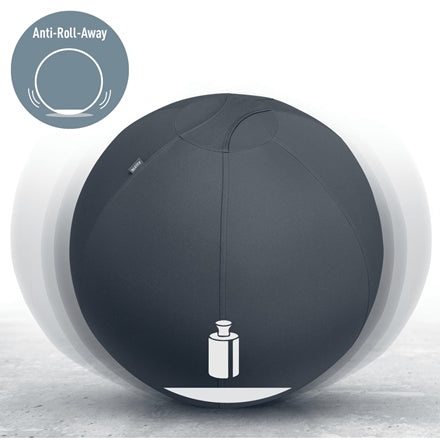 Leitz Active Sitzball 65cm Sitting ball Gris (2)