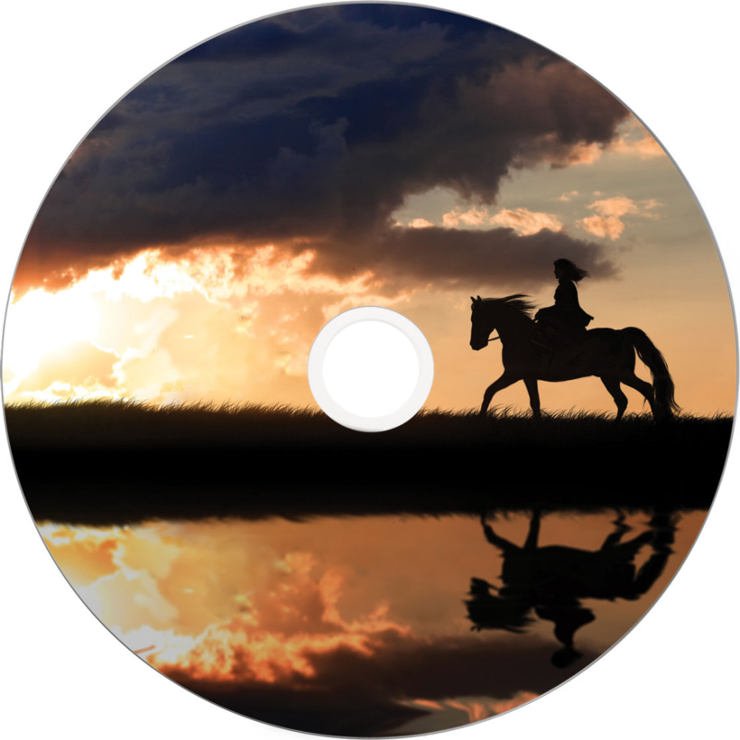 Verbatim DVD+R DL 8,5GB 8x Inkjet SP(25) (3)