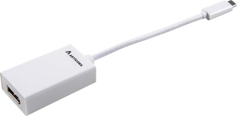 Adaptador USB tipo C m - Display Port h
