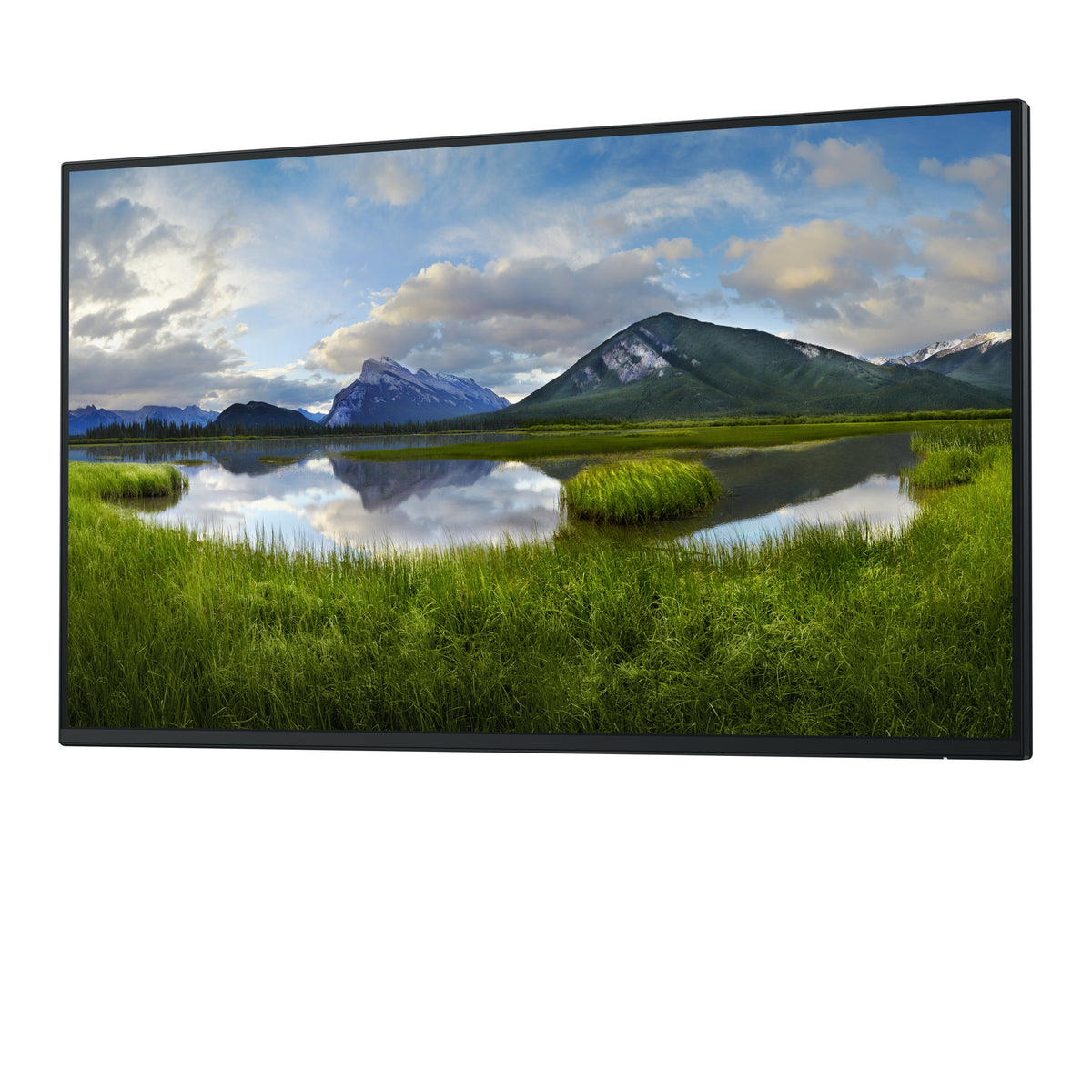 DELL Pro Plus P2725H_WOST pantalla para PC 68,6 cm (27") 1920 x 1080 Pixeles Full HD LCD Negro (3)