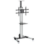 StarTech.com STNDMTV70 soporte para pantalla de señalización 190,5 cm (75") Negro, Acero inoxidable
