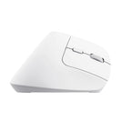 Trust Bayo+ ratón Oficina Mano derecha RF Wireless + Bluetooth Óptico 2400 DPI (6)