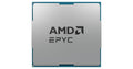AMD EPYC 4124P 3.8Ghz 4 núcleos 8 hilos 16MB caché