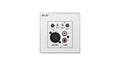 Ecler 2 IN mixer talkover wall panel CWPAMIXT