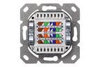 Digitus DN-9008-1 Toma de corriente 2 x RJ-45 Blanco