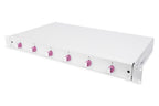 Digitus Fiber Optic Sliding Splice Box, 1U, Equipped, LC, OM4