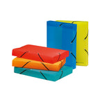 Exacompta 5977E caja de almacenamiento de archivos Polipropileno Azul, Verde