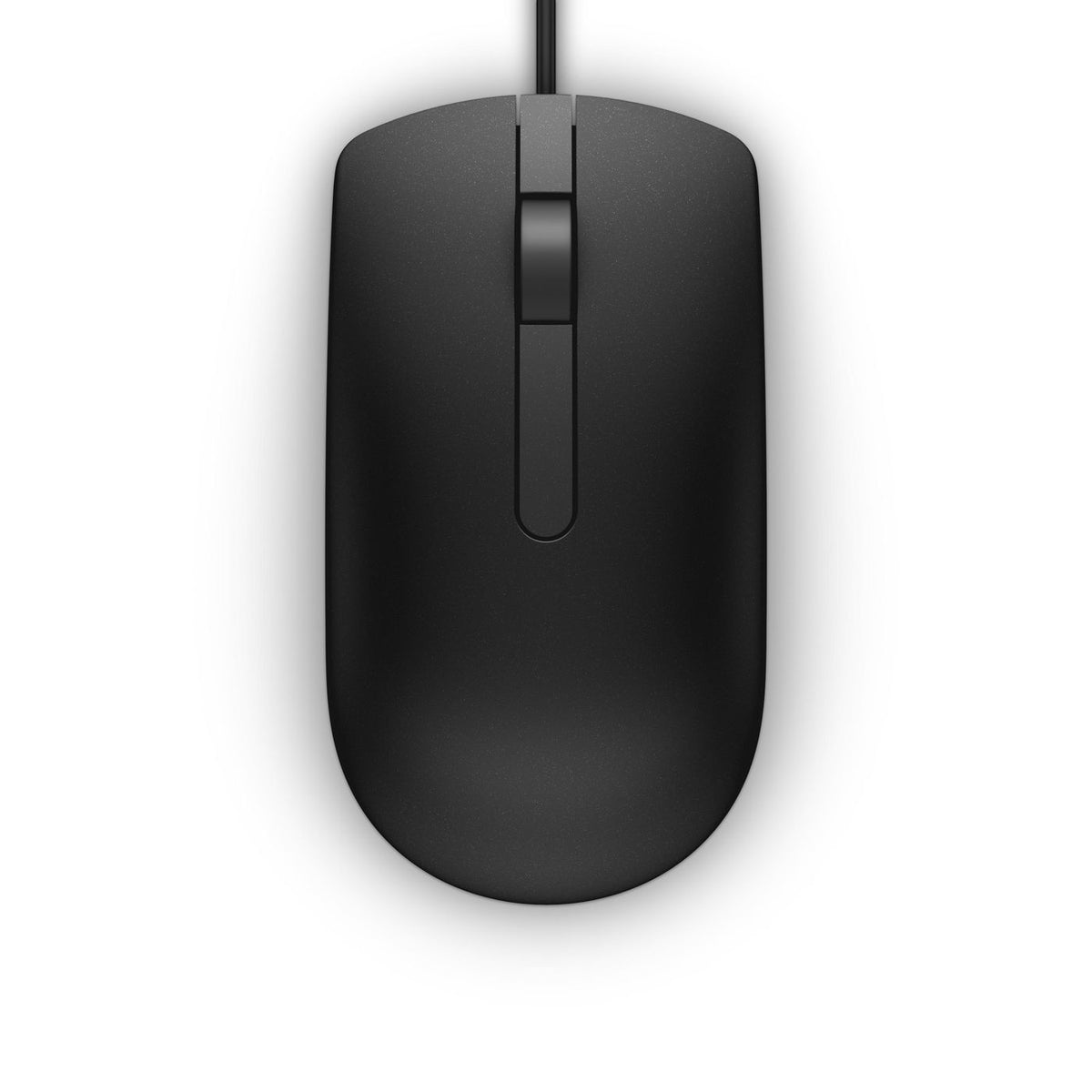 DELL MS116 ratón Oficina Ambidextro USB tipo A Óptico 1000 DPI