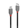 Lindy 36891 cable USB USB 2.0 1 m USB C Micro-USB B 0,48 Gbit/s Negro, Gris