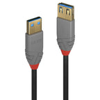 Lindy 36762 cable USB USB 3.2 Gen 1 (3.1 Gen 1) 2 m USB A 5 Gbit/s Negro